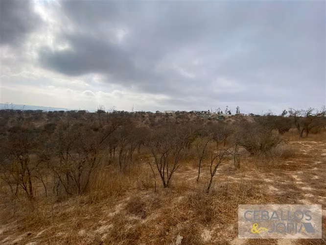 Parcela en venta en Limache