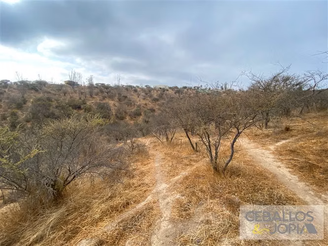 Parcela en venta en Limache