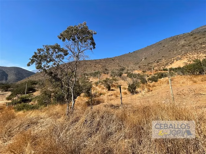 Parcela en venta en condominio, Olmué