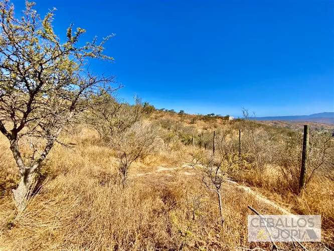 Parcela en venta en Limache