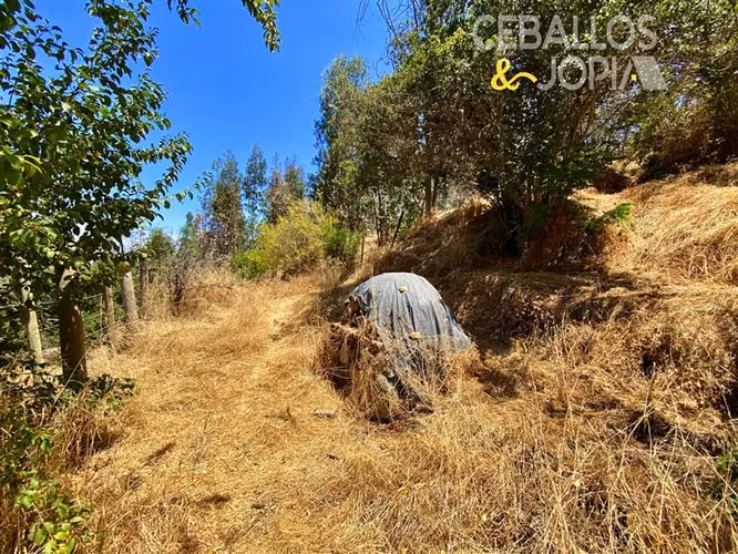 Parcela en venta en Olmué - Imagen 12