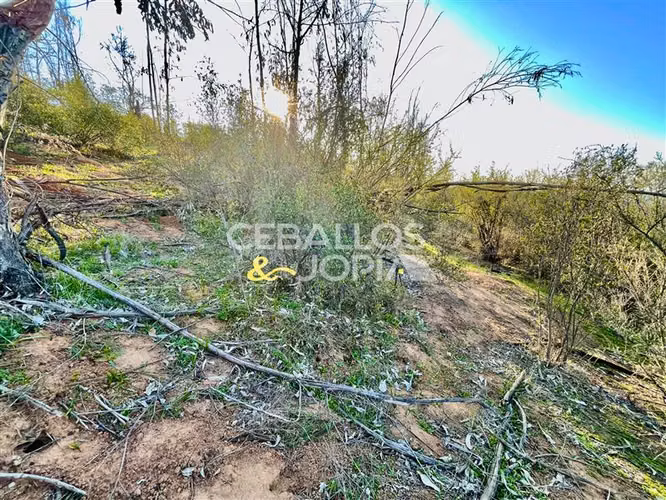 Parcela en venta en Limache - Imagen 11