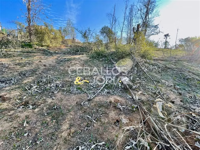 Parcela en venta en Limache - Imagen 8