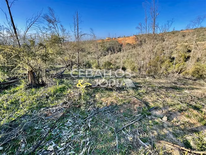 Parcela en venta en Limache - Imagen 9