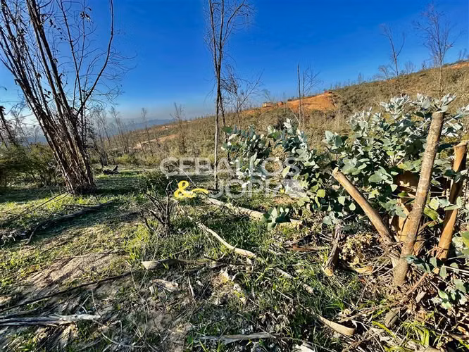 Parcela en venta en Limache - Imagen 10