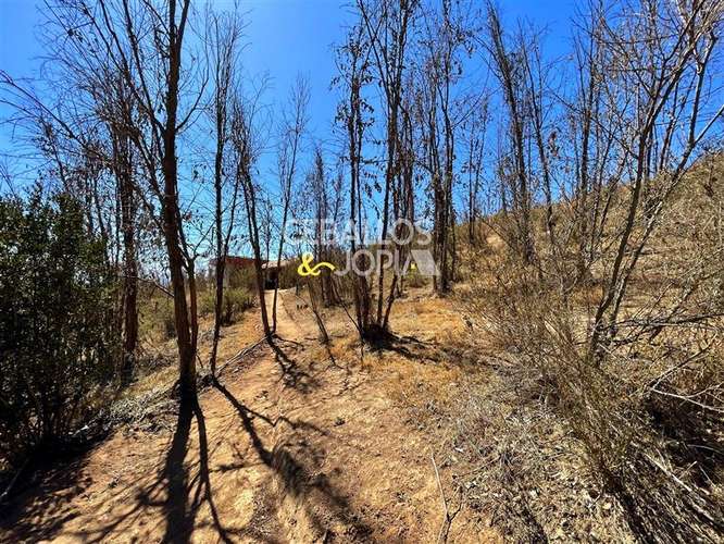 Parcela en venta en Limache - Imagen 28