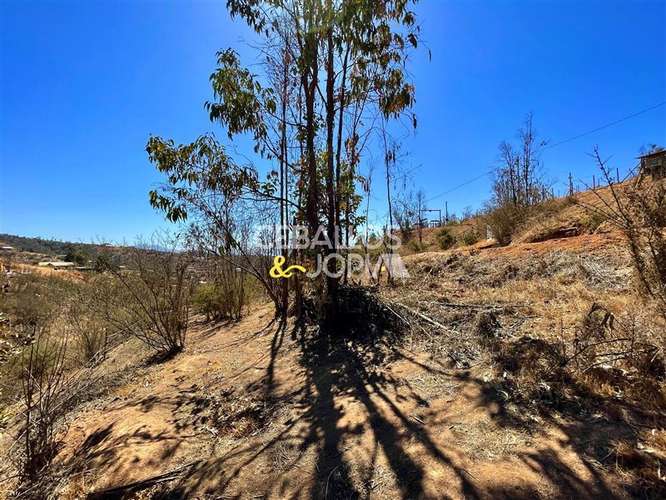 Parcela en venta en Limache - Imagen 30