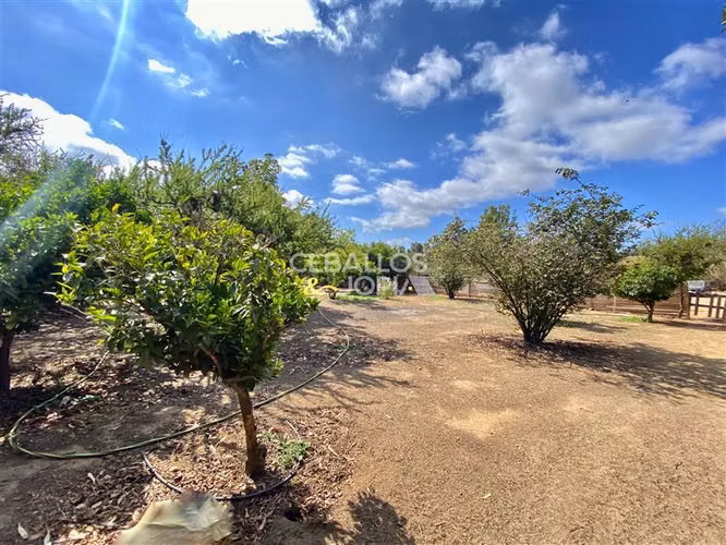 Sitio en venta en Villa Alemana