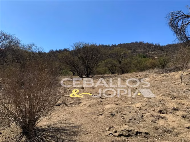 Parcela en venta en Hijuelas