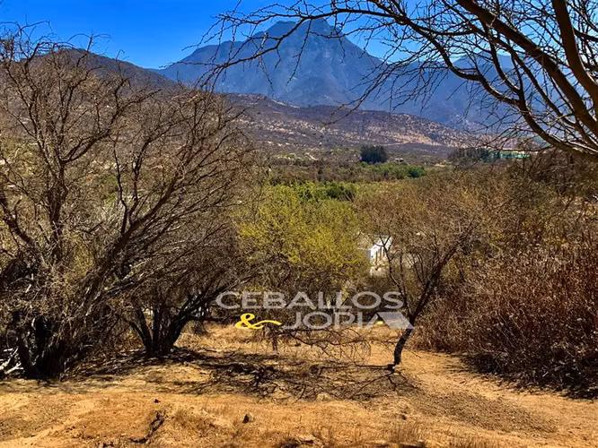Parcela en venta en Hijuelas