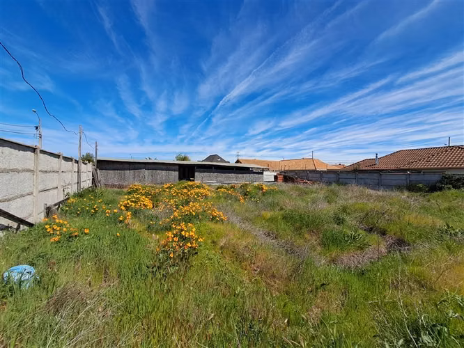 Sitio en venta viña Esmeralda Las rastras