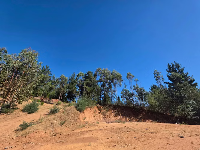Parcela, Sitios, Terreno, Fundo Los Aromos, Copielemu,  Florida