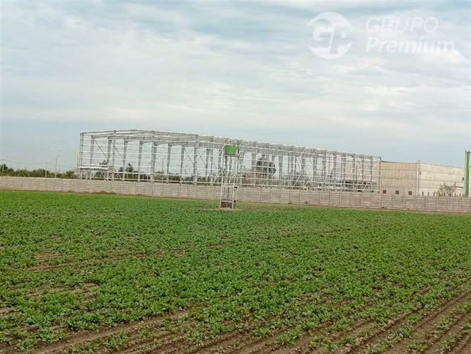 Sitio en arriendo 5000m2 en Lampa