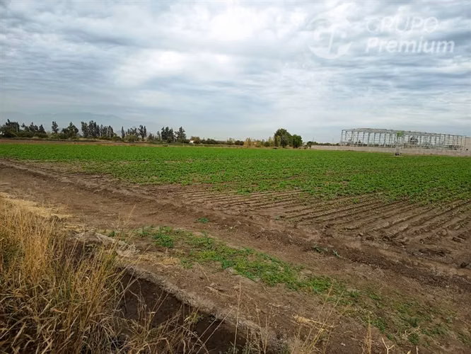 Sitio en arriendo 5000m2 en Lampa