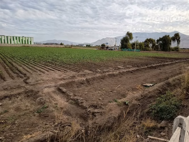 Sitio en arriendo 5000m2 en Lampa