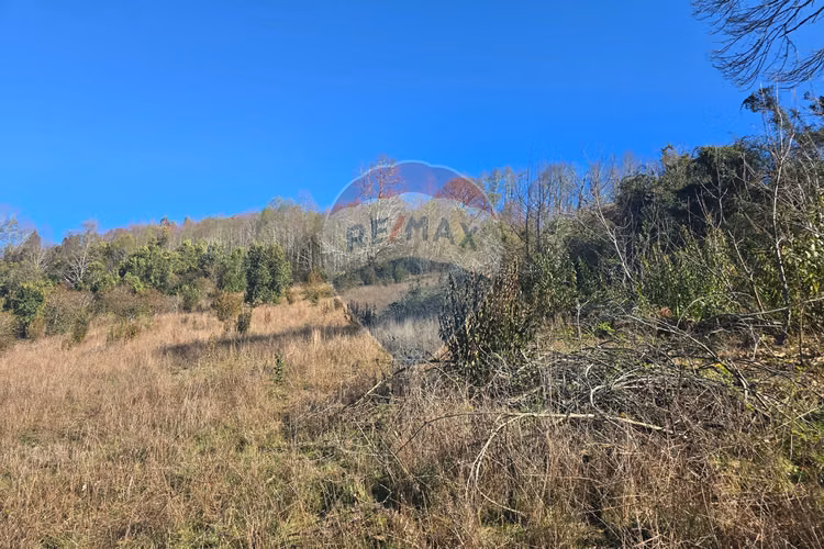Parcela de ensueño con vistas panoramicas