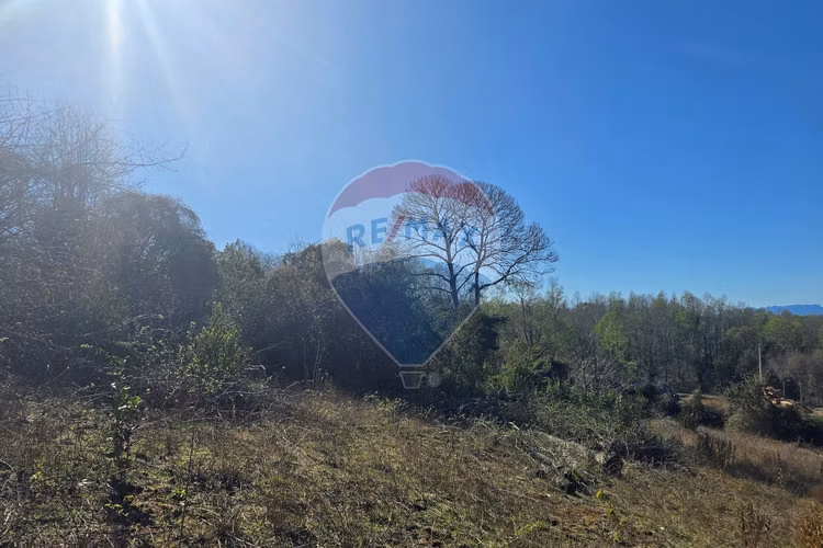Parcela de ensueño con vistas panoramicas