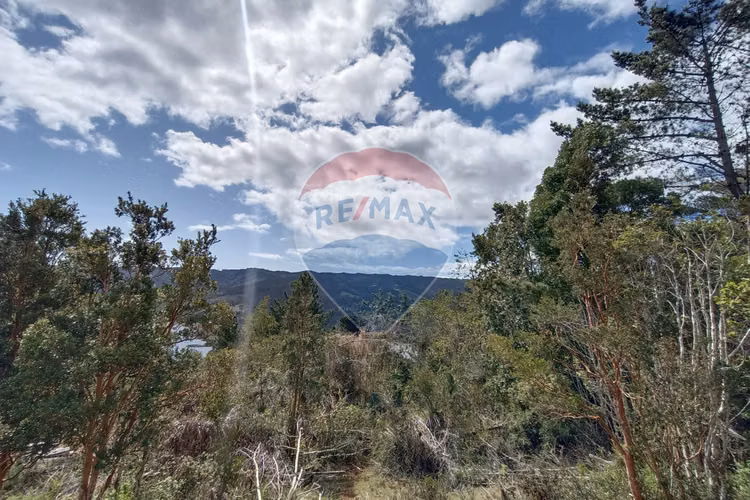 Venta de refugio natural en mehuin