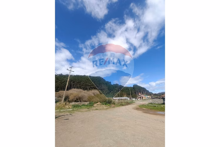 Venta de refugio natural en mehuin
