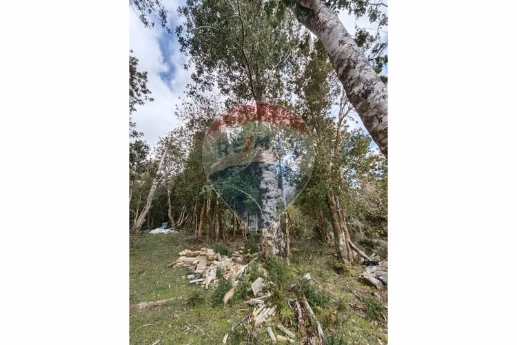 Venta de refugio natural en mehuin