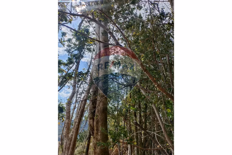 Venta de refugio natural en mehuin