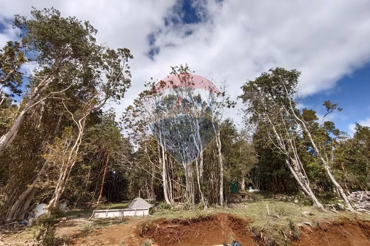 Venta de refugio natural en mehuin