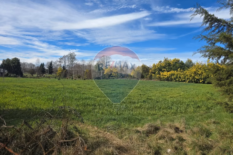 Oasis en loncoche: espacio y serenidad
