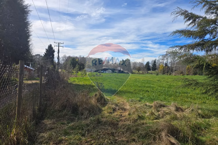 Oasis en loncoche: espacio y serenidad