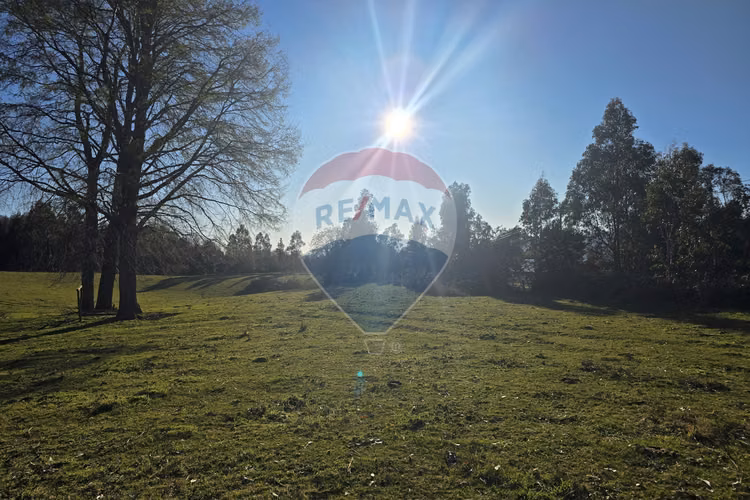 Parcela de ensueño en villarrica