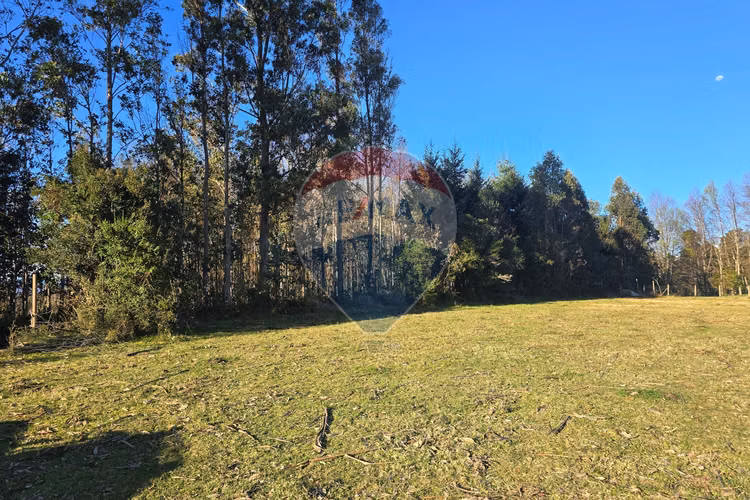 Parcela de ensueño en villarrica