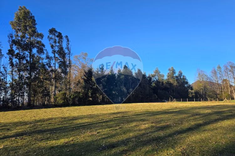 Parcela de ensueño en villarrica