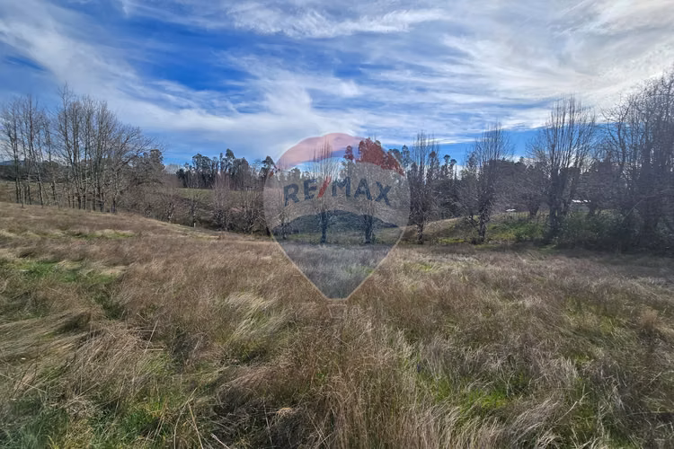 Parcela de agrado en gorbea: naturaleza y confort.