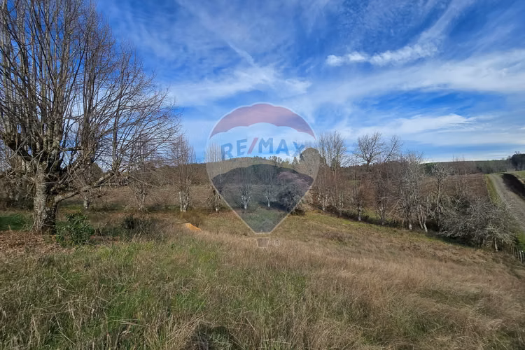 Parcela de agrado en gorbea: naturaleza y confort.