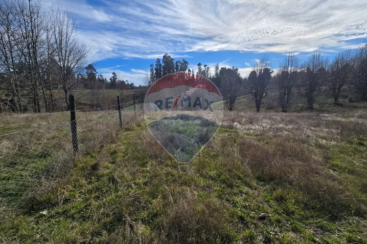 Parcela de agrado en gorbea: naturaleza y confort.