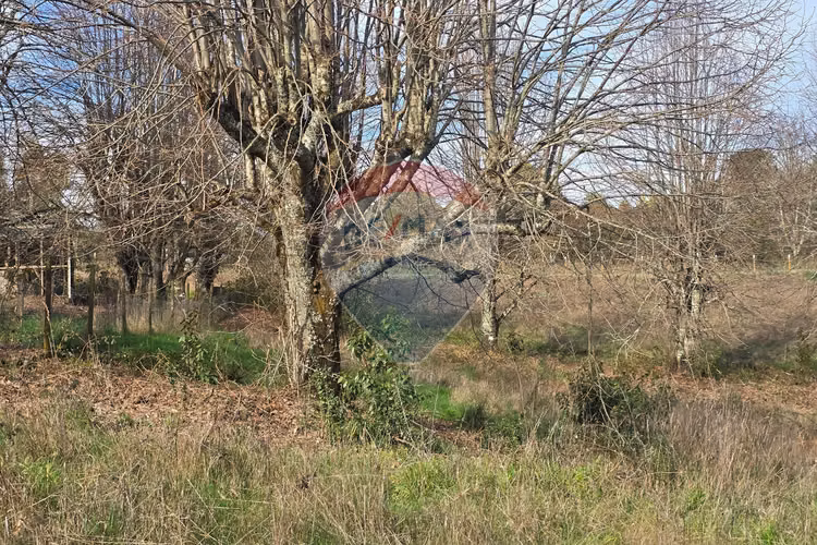 Parcela de agrado en gorbea: naturaleza y confort.