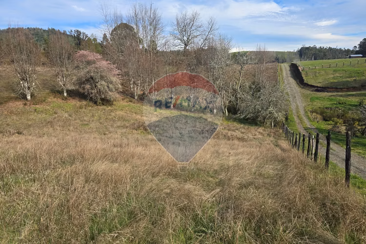 Parcela de agrado en gorbea: naturaleza y confort.