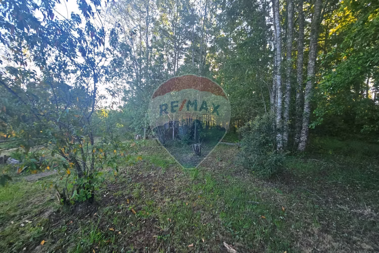Hermosa casa en parcela con bosque nativo