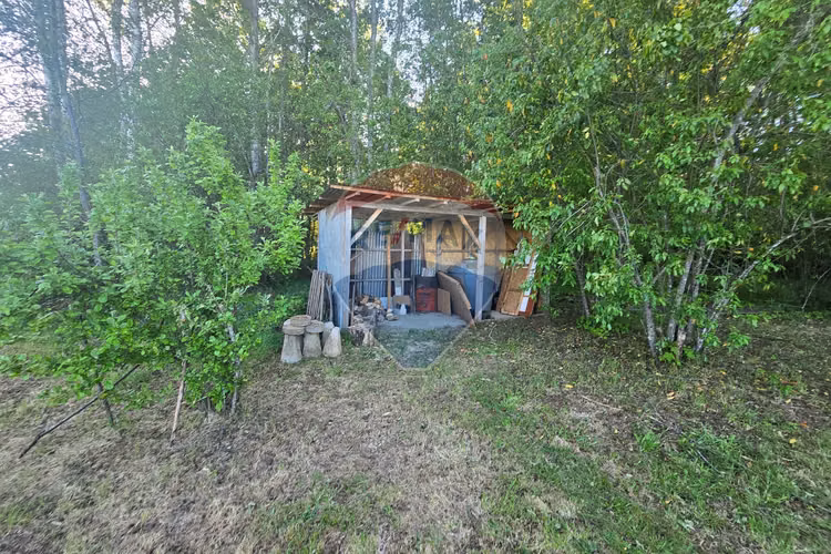 Hermosa casa en parcela con bosque nativo