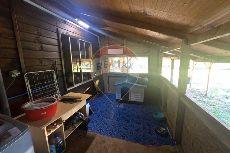 Hermosa casa en parcela con bosque nativo
