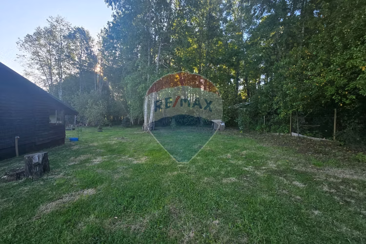 Hermosa casa en parcela con bosque nativo