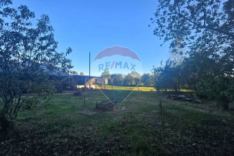 Hermosa casa en parcela con bosque nativo