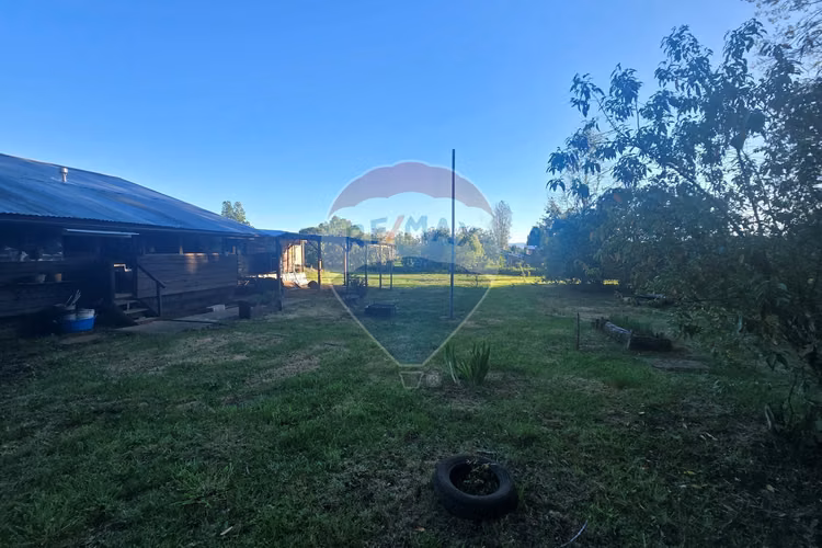 Hermosa casa en parcela con bosque nativo