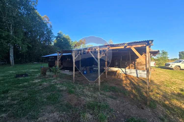 Hermosa casa en parcela con bosque nativo