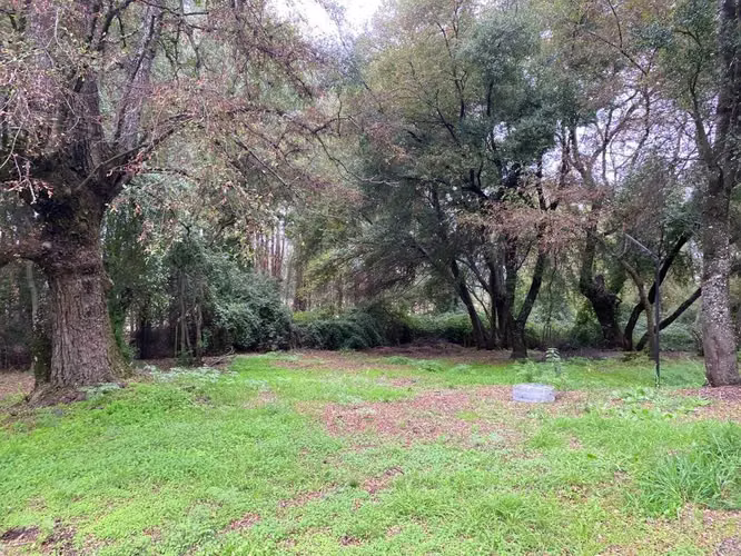 Se Vende Maravillosa Parcela  de 1,0 ha (162827)