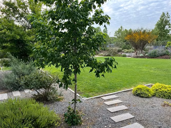 Las Brisas de Chicureo, Colegio Highlands