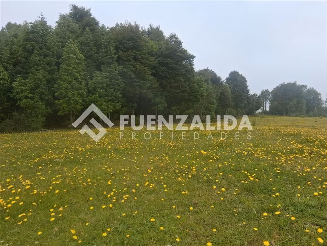 Sitio en venta en Los Muermos, APP