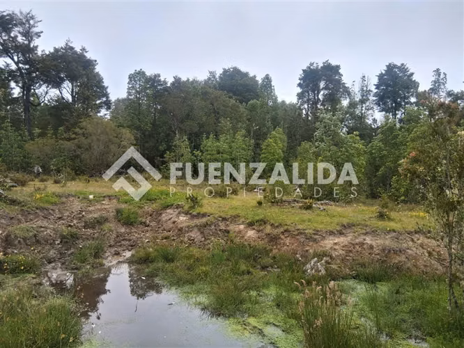Sitio en venta en Los Muermos, APP