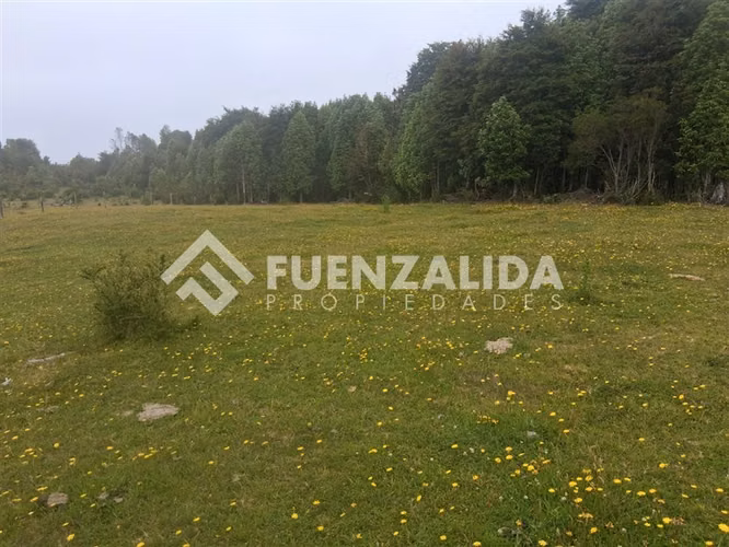 Sitio en venta en Los Muermos, APP