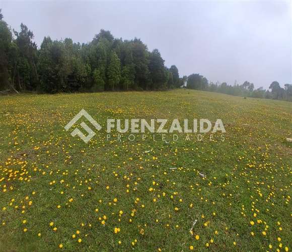 Sitio en venta en Los Muermos, APP