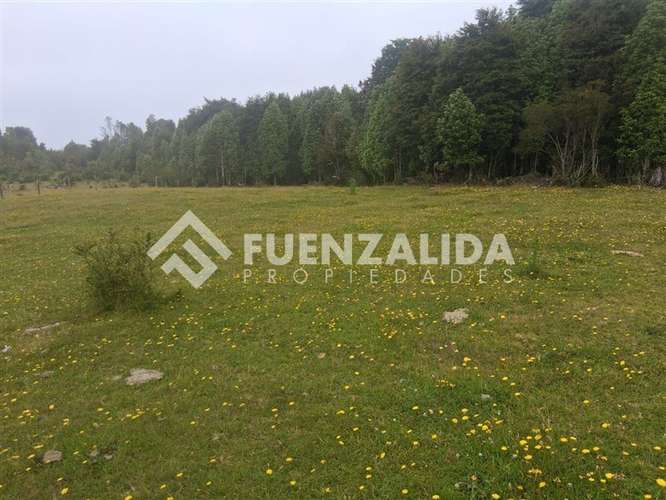 Sitio en venta en Los Muermos, APP